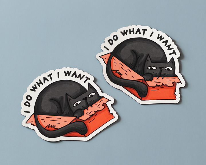Black Cat Funny Saying Sticker