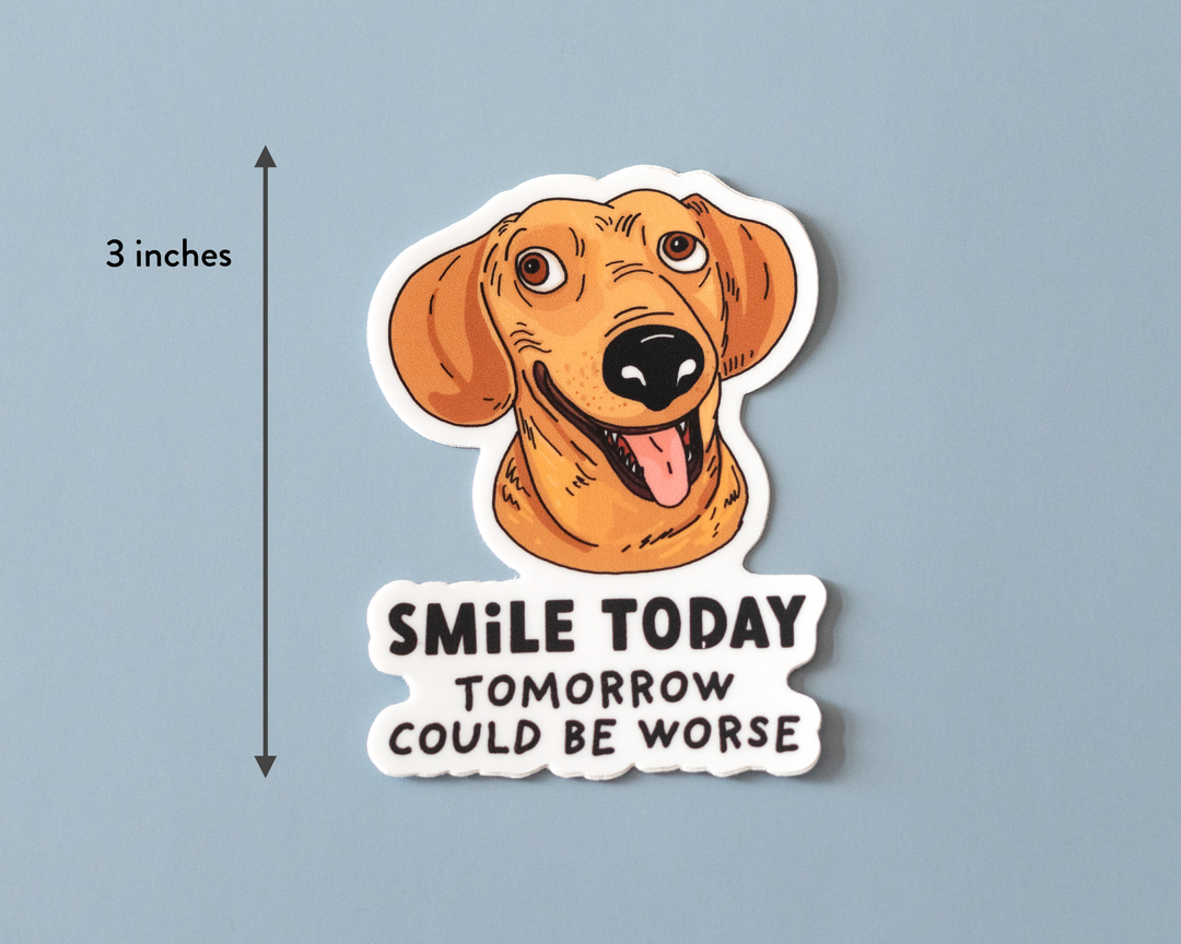 Smile Today Dog Magnet