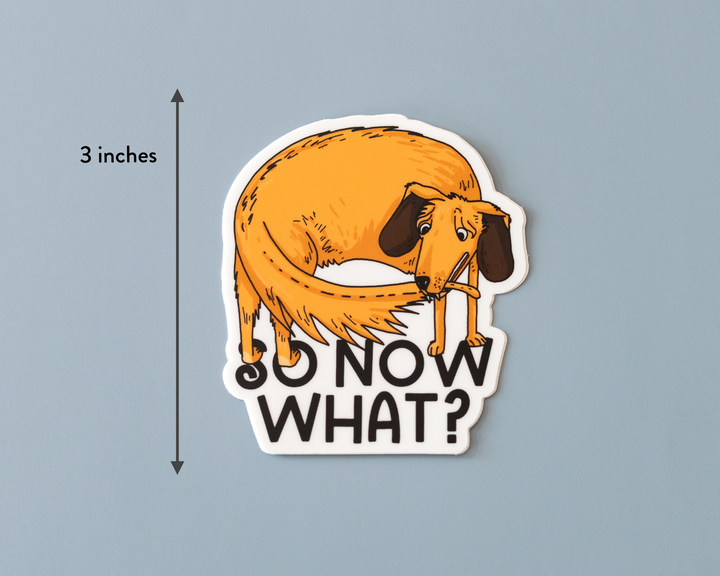 So Now What Vinyl Sticker