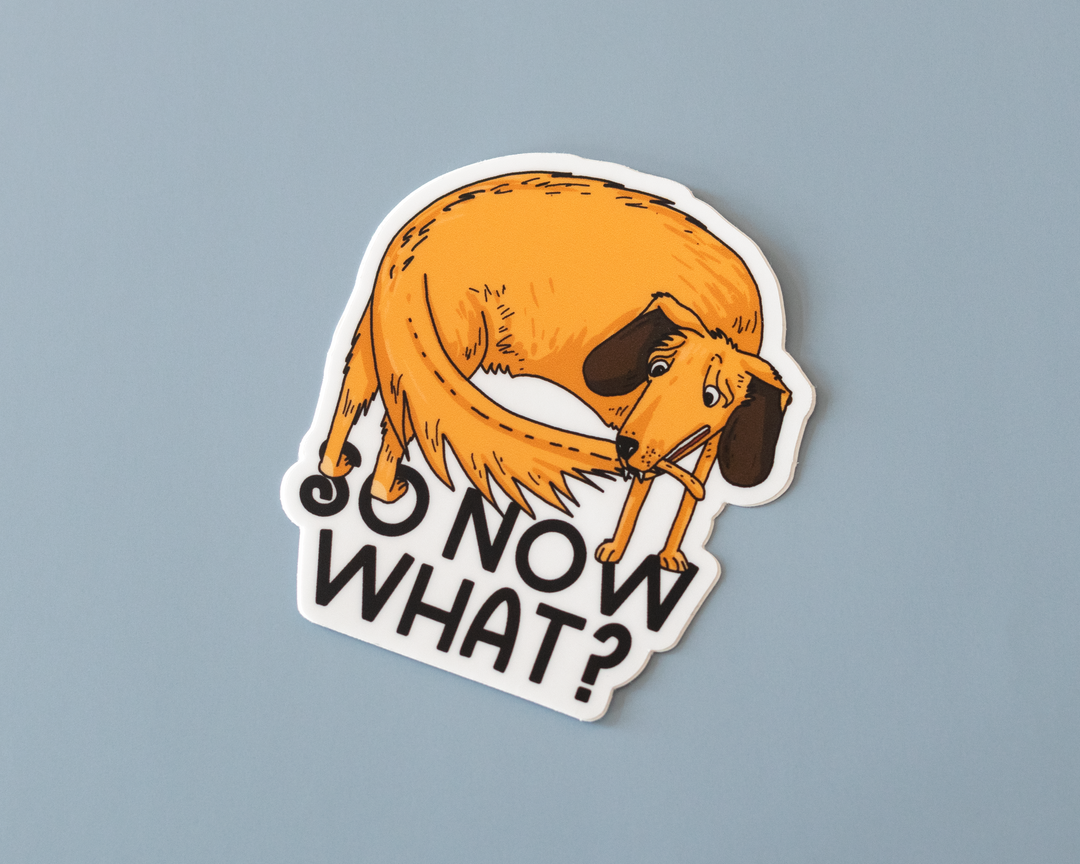 So Now What Vinyl Sticker