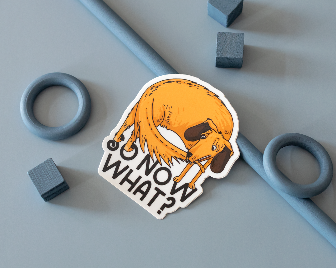 So Now What Vinyl Sticker