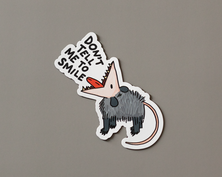 Funny Possum Magnet