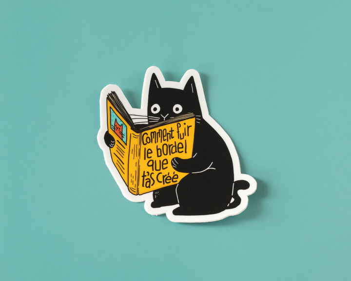 Comment Fuir Le Bordel Vinyl Sticker