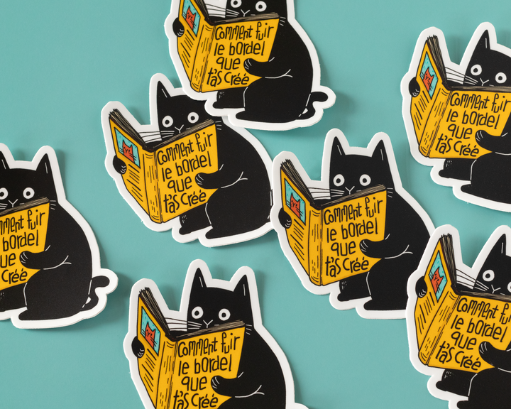 Comment Fuir Le Bordel Vinyl Sticker