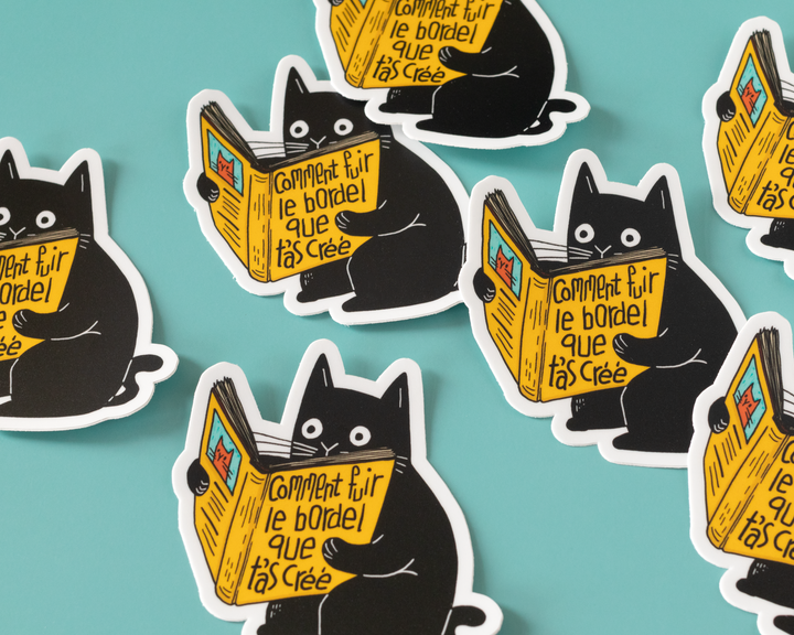 Comment Fuir Le Bordel Vinyl Sticker