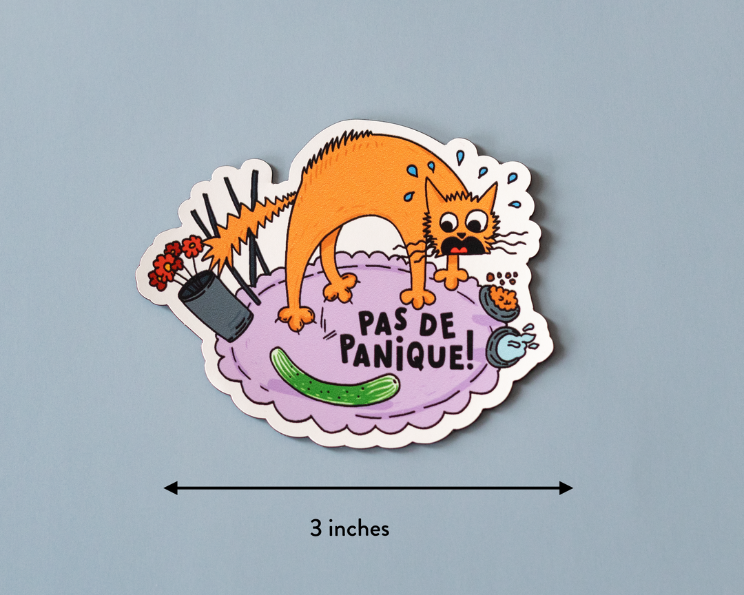 Pas De Panique Magnet