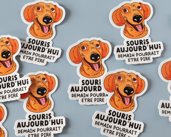 Souris Aujourd'hui Vinyl Sticker