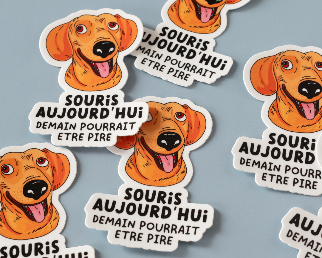 Souris Aujourd'hui Vinyl Sticker