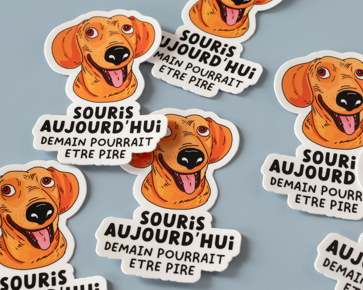 Souris Aujourd'hui Vinyl Sticker