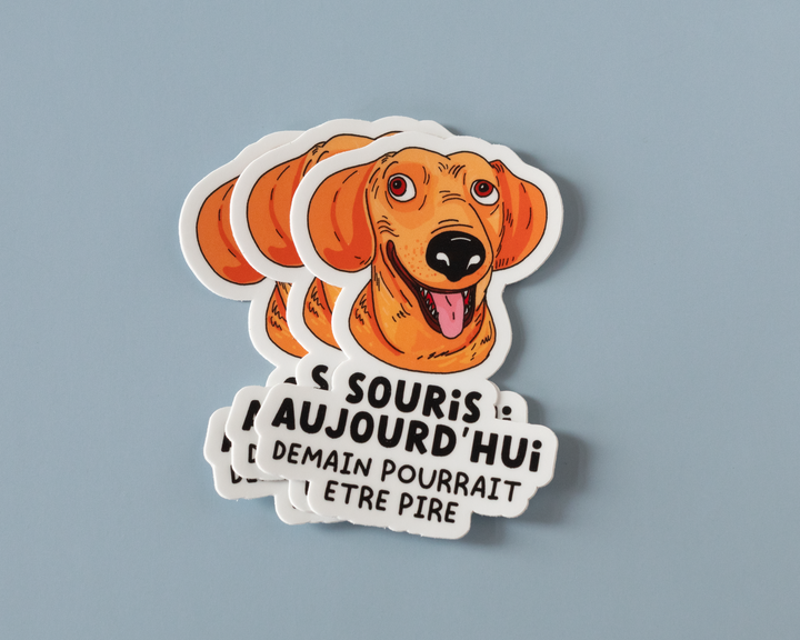 Souris Aujourd'hui Vinyl Sticker