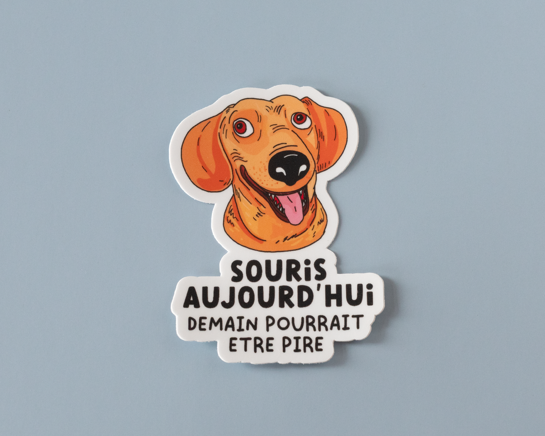 Souris Aujourd'hui Vinyl Sticker