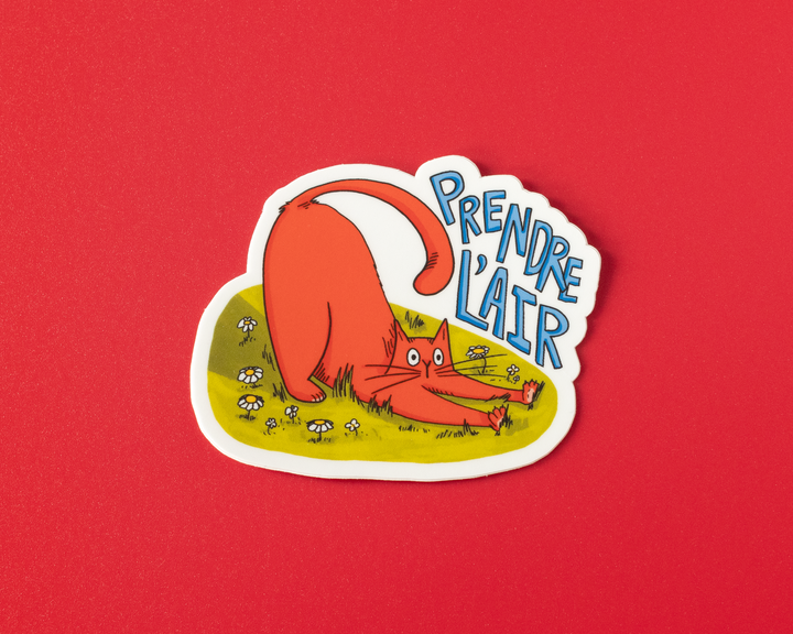 Prendre L'Air Vinyl Sticker
